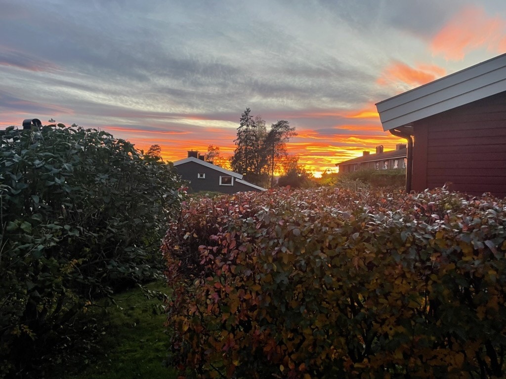 Sommerbilde / kveldsstemning Galleribilde