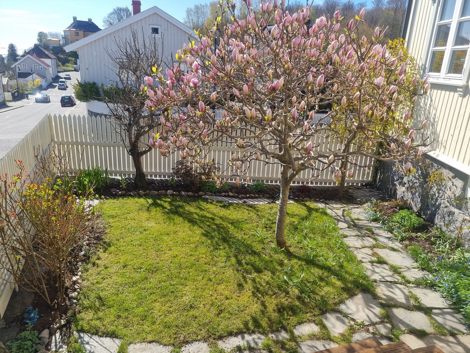 Hagen er pent opparbeidet med plen, prydbusker og et vakkert magnoliatre. Galleribilde