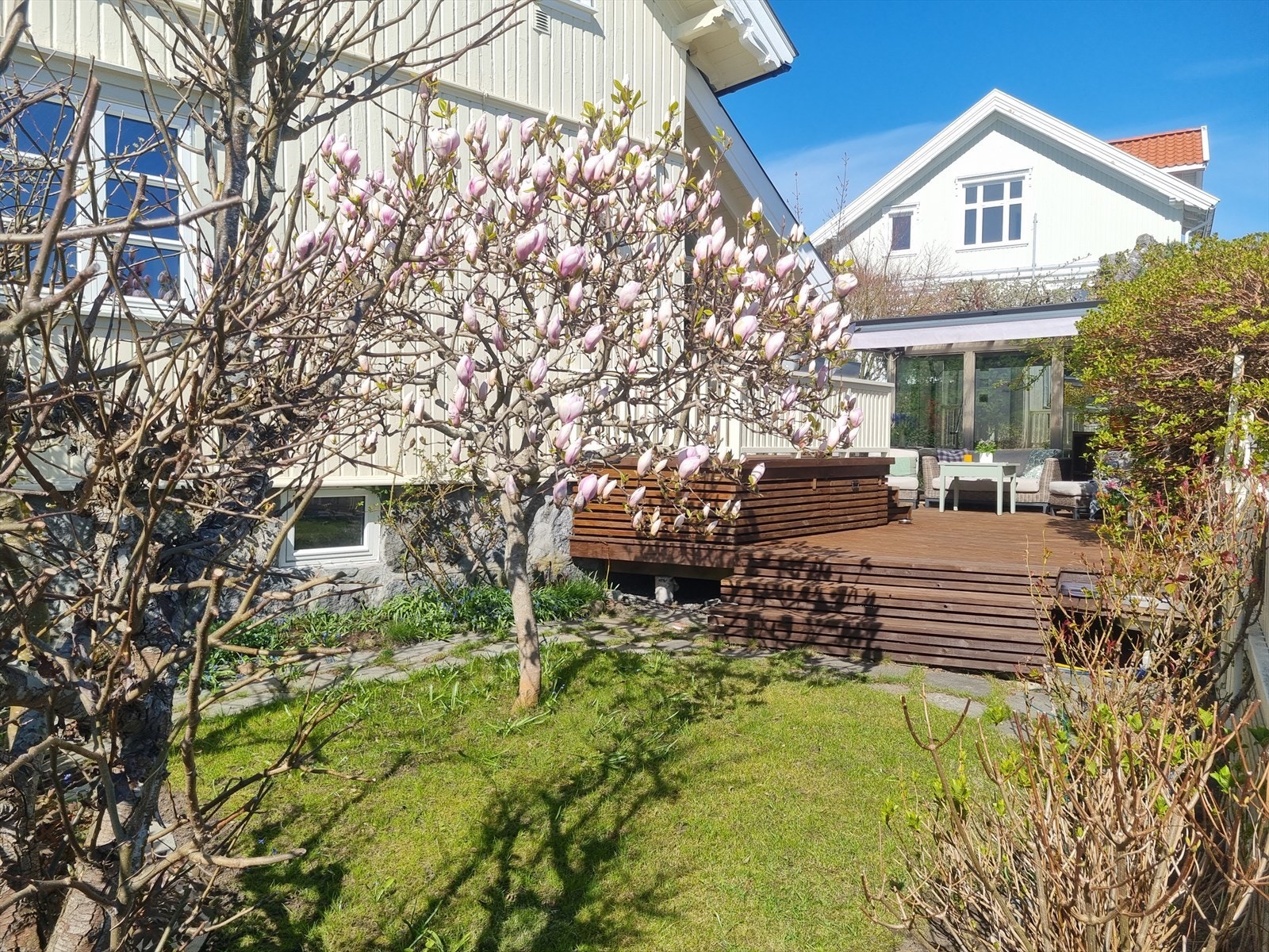 Velkommen til Kirkegata 14! Nydelig tomt med fantastisk Magnoliatre :-) Galleribilde