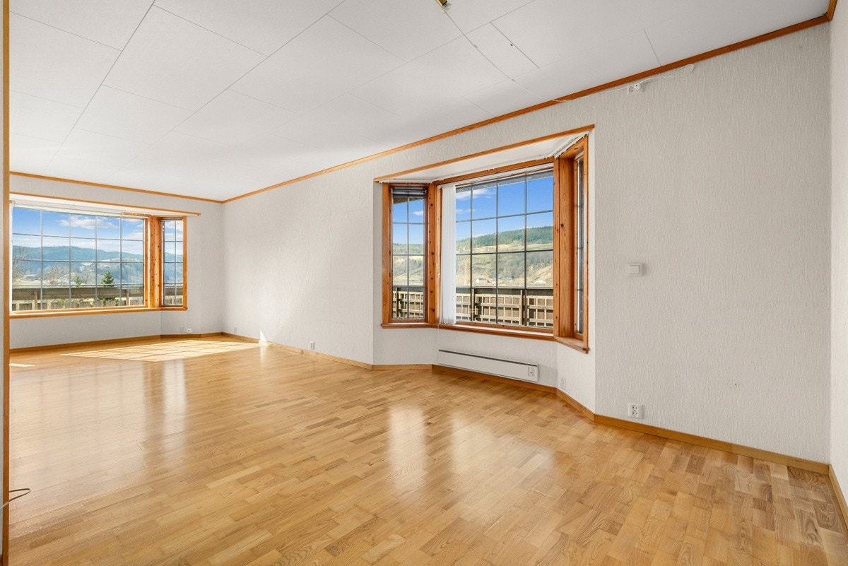 Stue Galleribilde