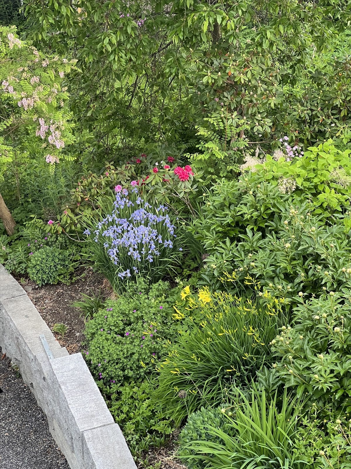 Selgers egne bilder av bed Galleribilde