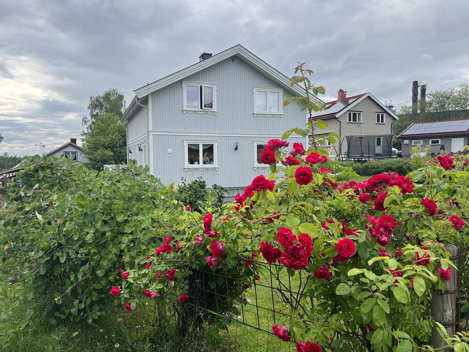 Selgers egne bilder av bed Galleribilde