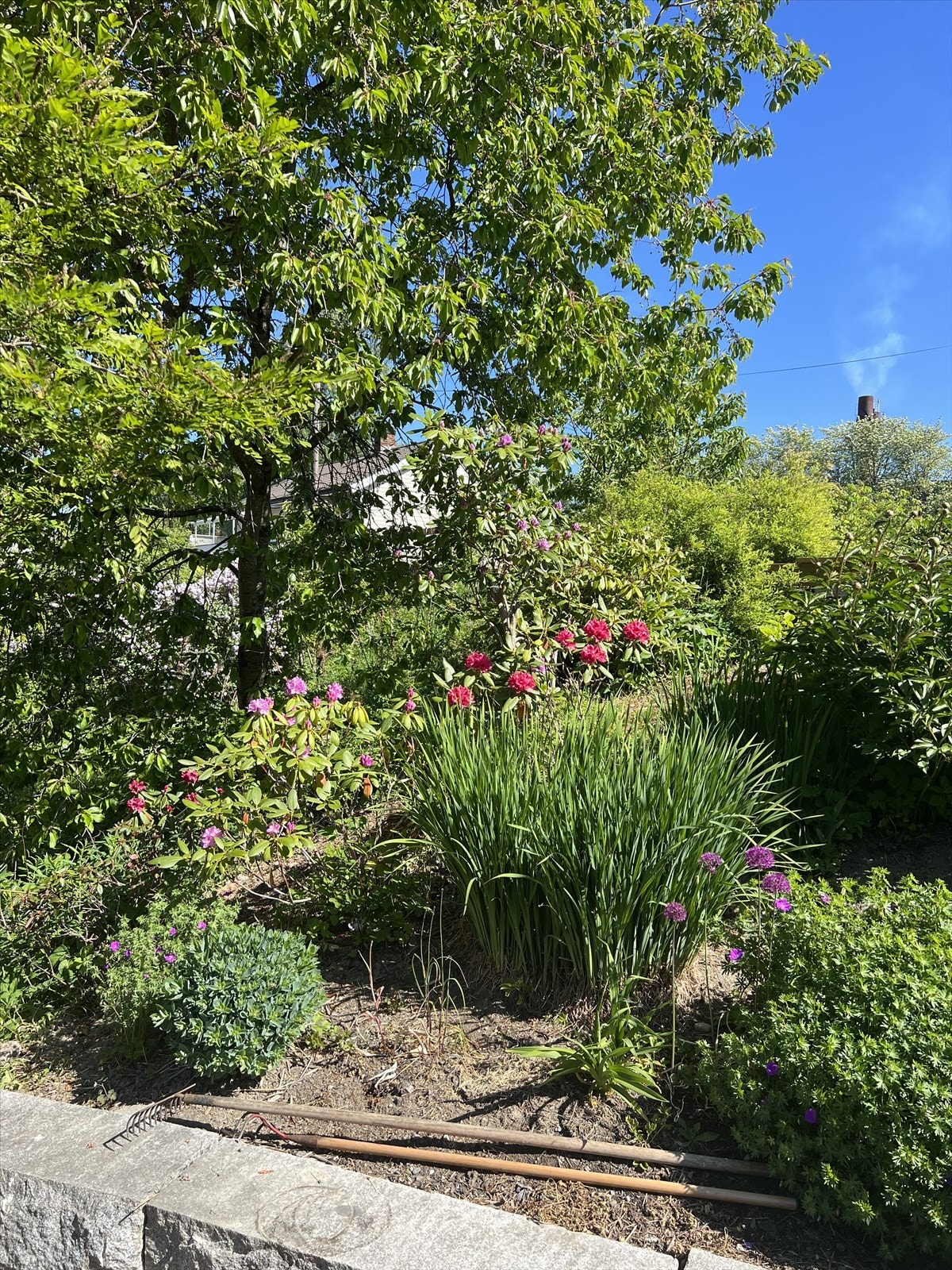 Selgers egne bilder av bed Galleribilde