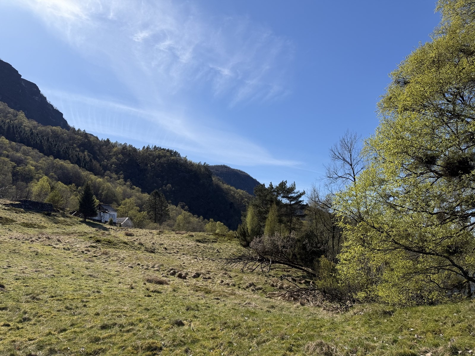 IMG_1013.jpeg Galleribilde