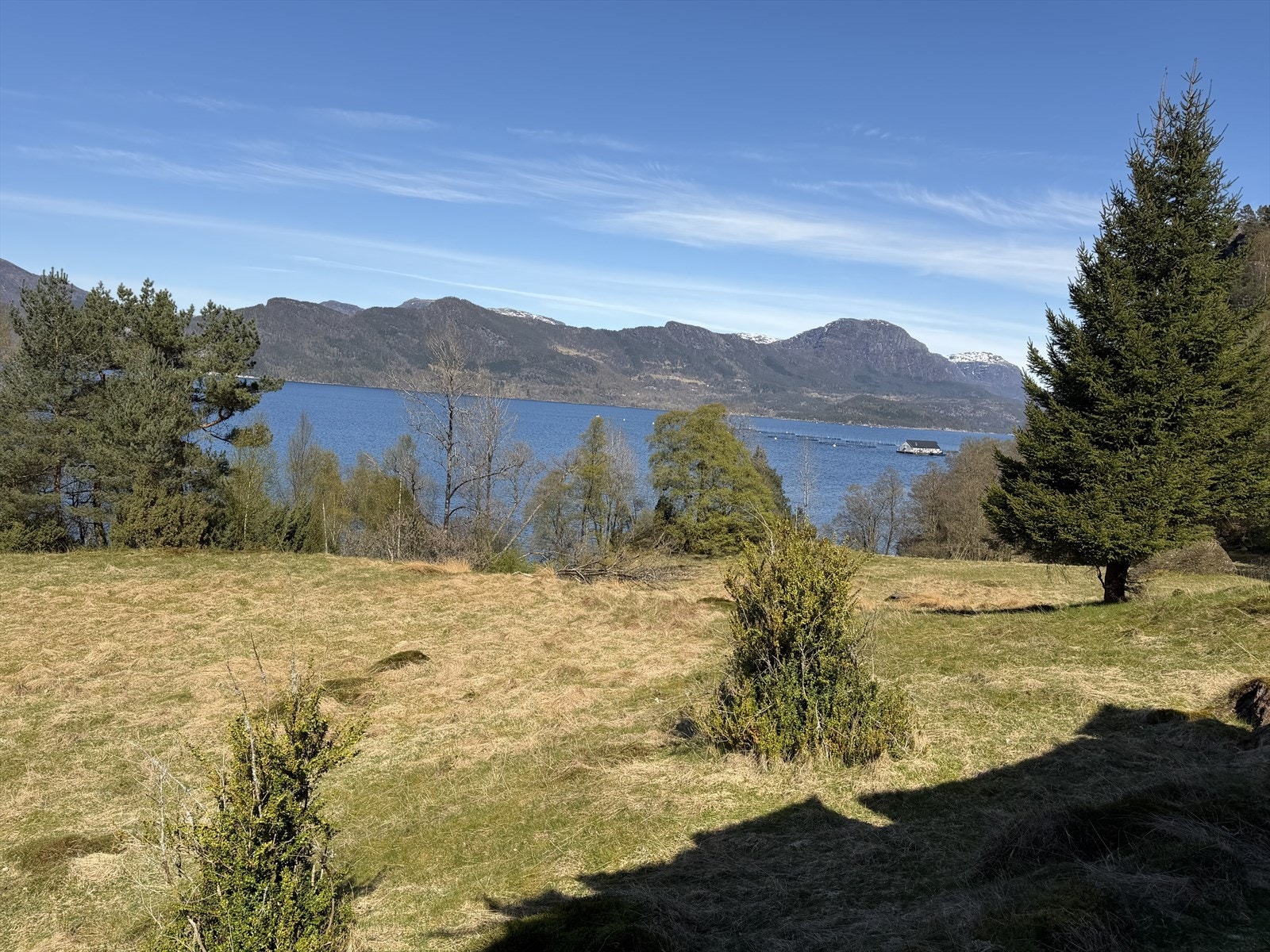 IMG_1018.jpeg Galleribilde
