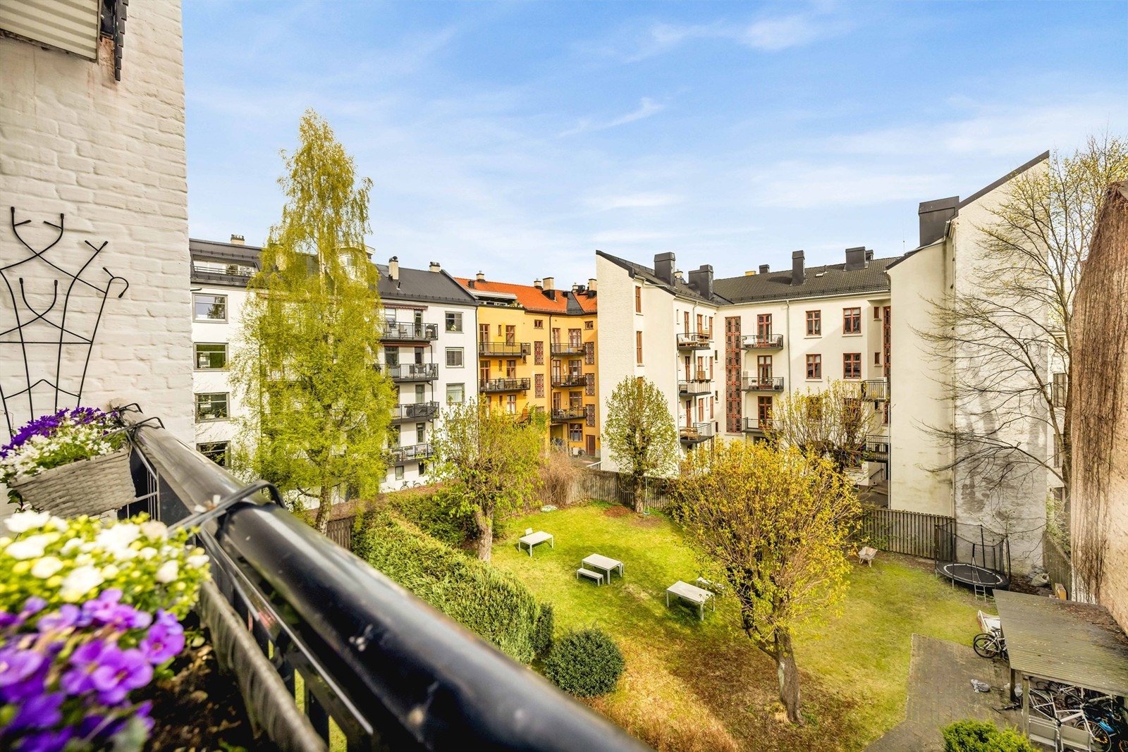 Utsikt til stor og frodig bakgård. Galleribilde