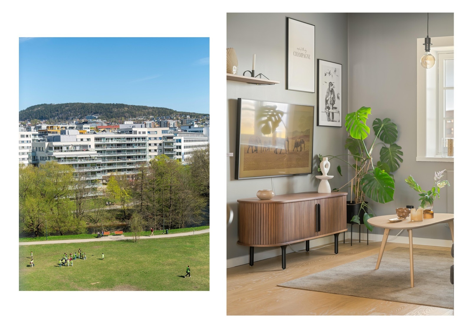 Det er fantastisk utsikt mot flotte grøntområder ved Bjølsendumpa og Akerselva - som begge er nærmeste nabo. Galleribilde