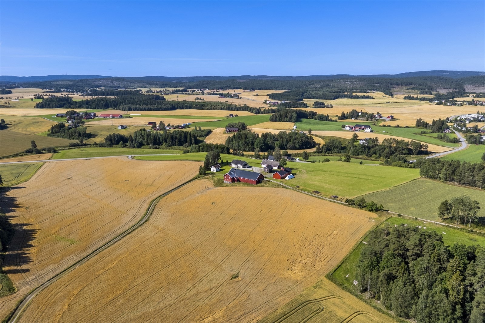 Eiendommen har 1 300 daa produktiv skog, hvor i overkant av 7 900 m³ er eldre skog i hogstklasse 5. Galleribilde