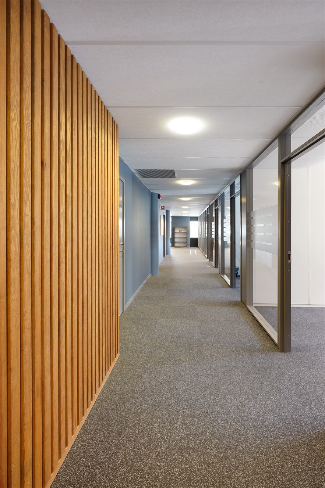Moderne kontorgang med trepanel, tepper og glassdører som gir et elegant og profesjonelt inntrykk. Galleribilde