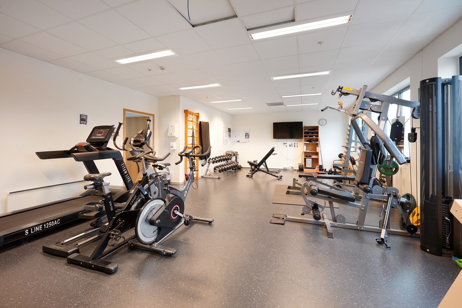 Moderne treningsrom med variert utstyr for en komplett treningsøkt. Perfekt for treningsentusiaster som ønsker fleksibilitet. Galleribilde