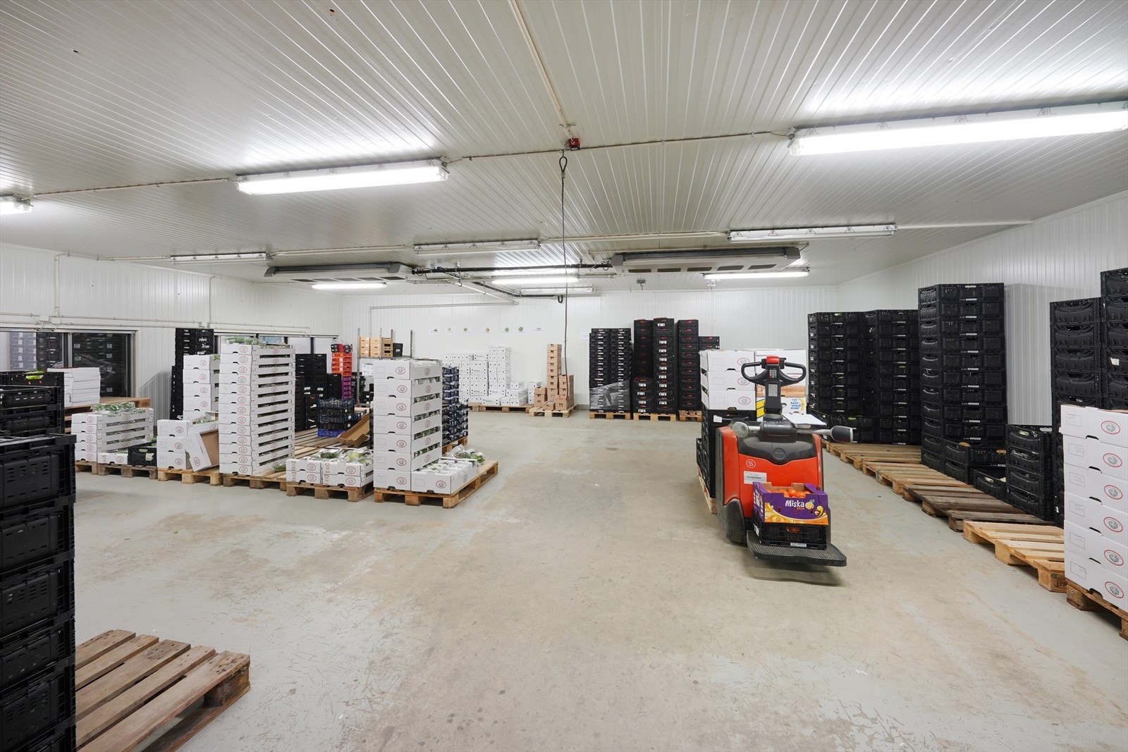 Romslig lagerlokale med gode oppbevaringsmuligheter og effektiv logistikk. Perfekt for bedrifter med behov for lagring og distribusjon. Galleribilde