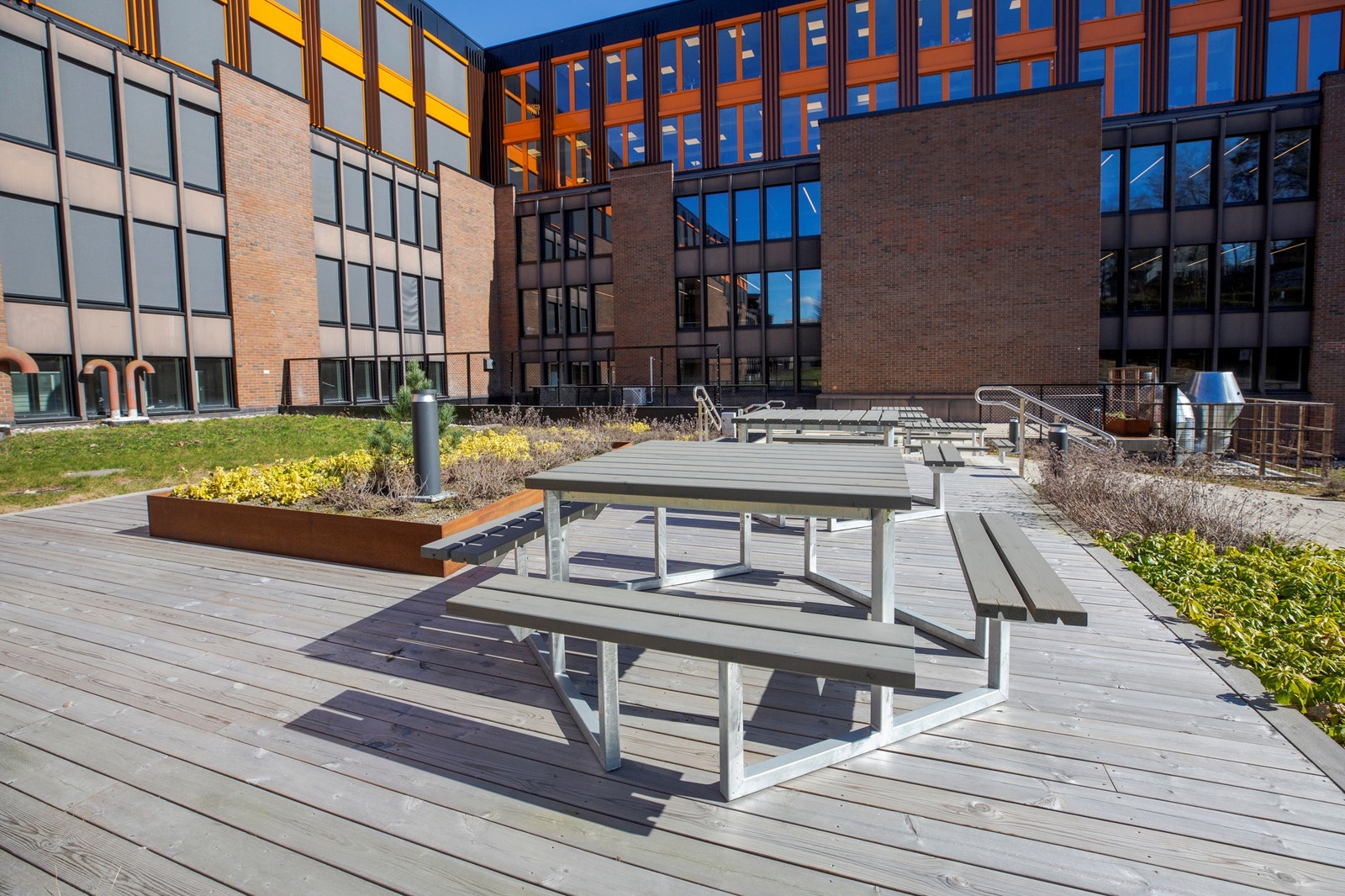 Flott bakhage hvor også lunsjen kan nytes. Galleribilde