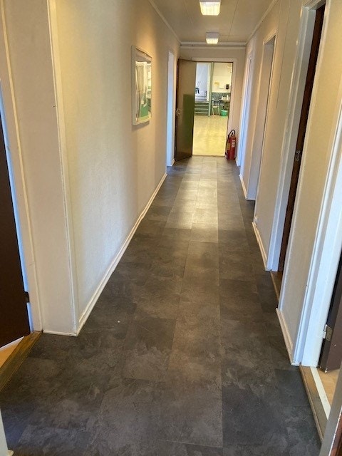 17.jpg Galleribilde