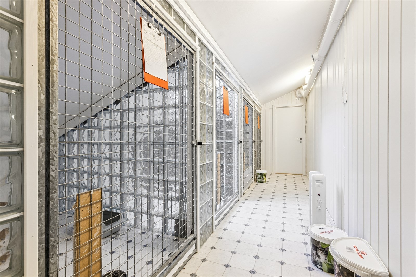 Katteavdeling. Galleribilde