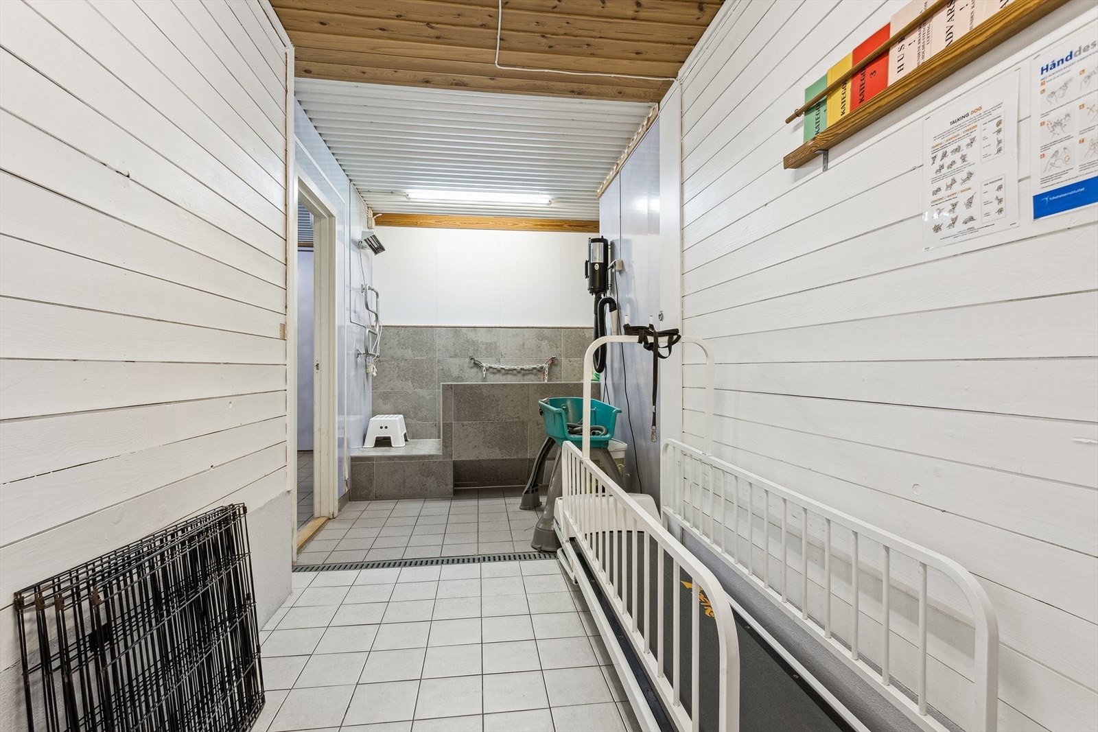 Vaskeavdeling med dusj, føner og tredemølle til hund. Galleribilde