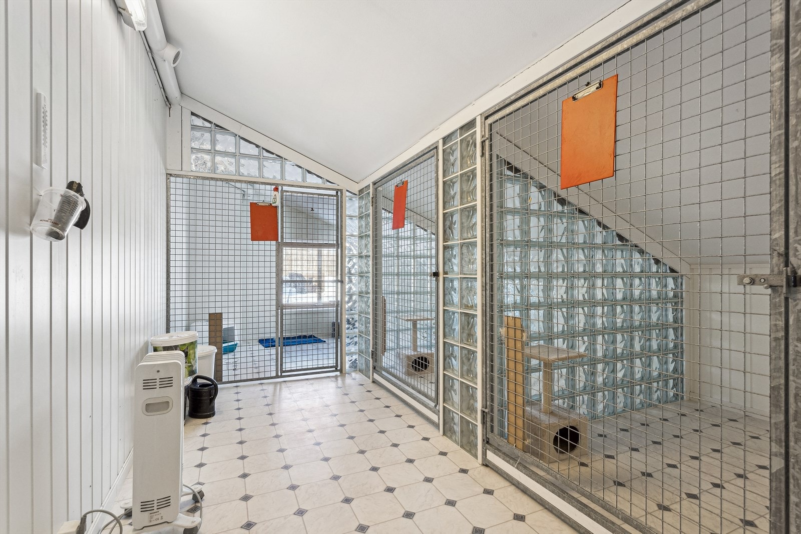 Katteavdeling. Galleribilde
