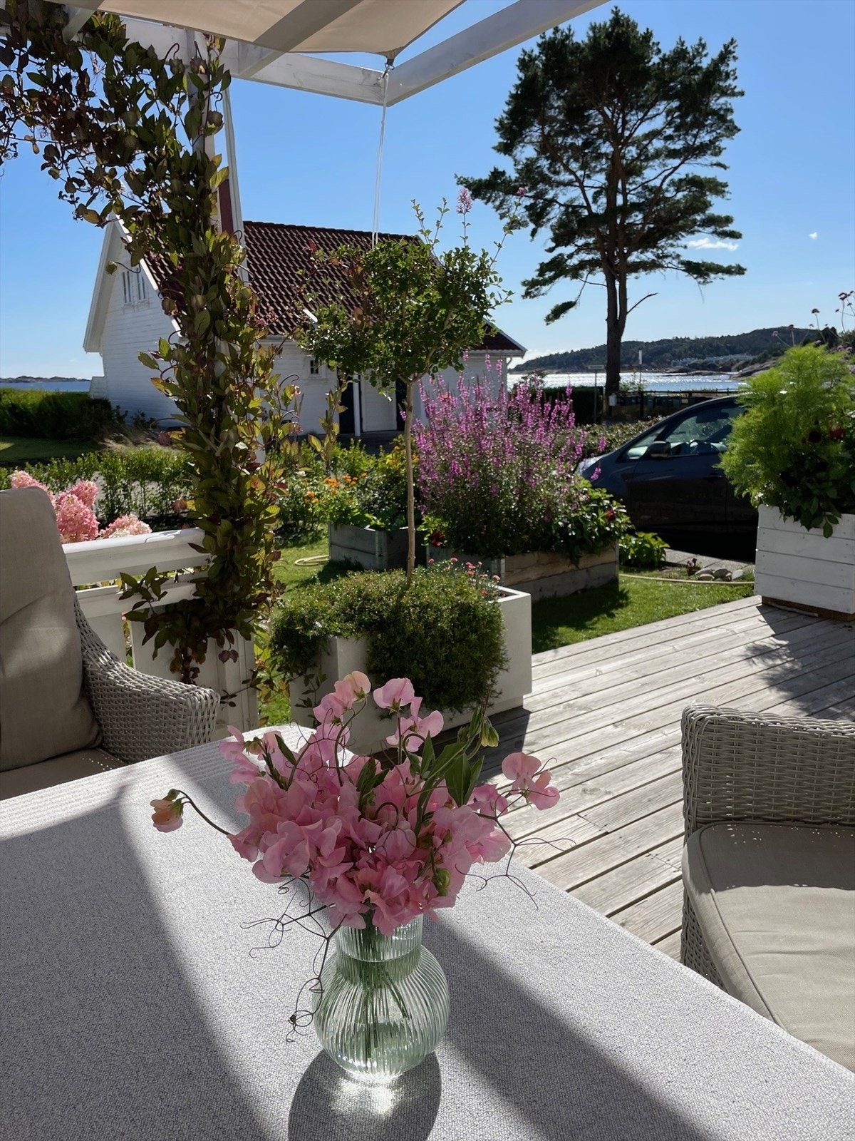 Privat bilde Galleribilde