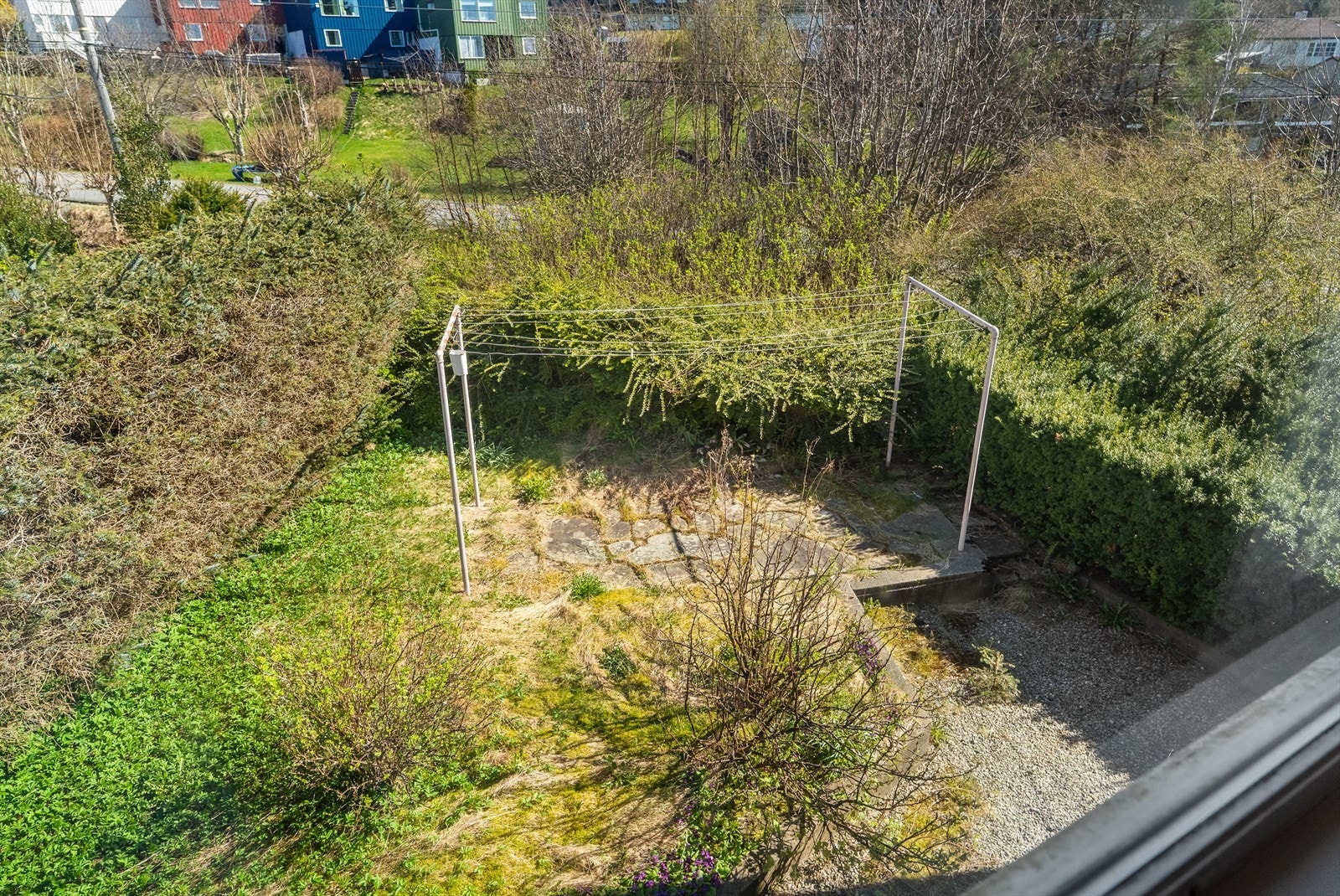 Hage mot nordøst. Galleribilde