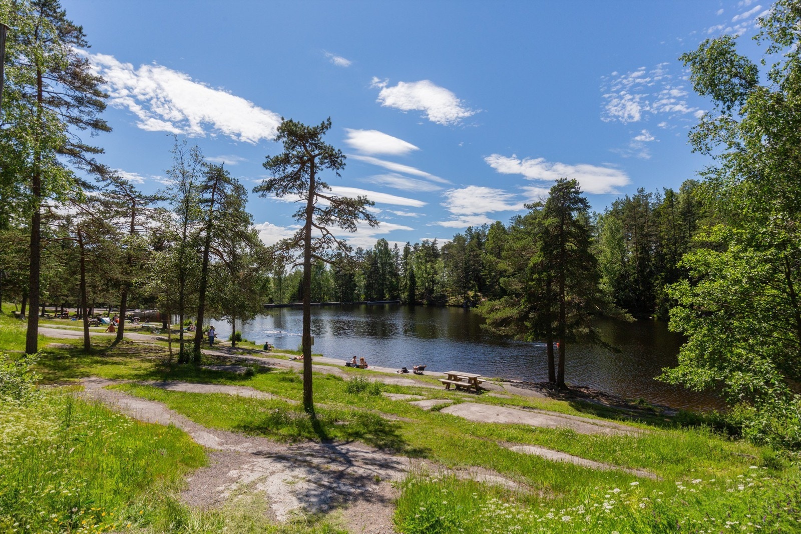 Badedammen (2,7 km fra boligen) - populært badested med dam, svaberg og grønne gressletter i skogen. Galleribilde