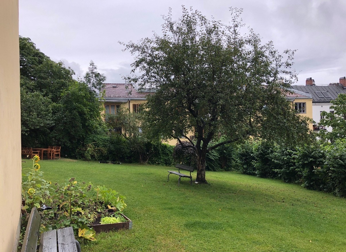 Sameie har en stor privat hage. Her kan du ha din egen parsellhage. Det er husker og sandkasse til barna, samt felles grill og sittegrupper. Nydelig om sommeren med ettermiddag/kveldssol. Galleribilde