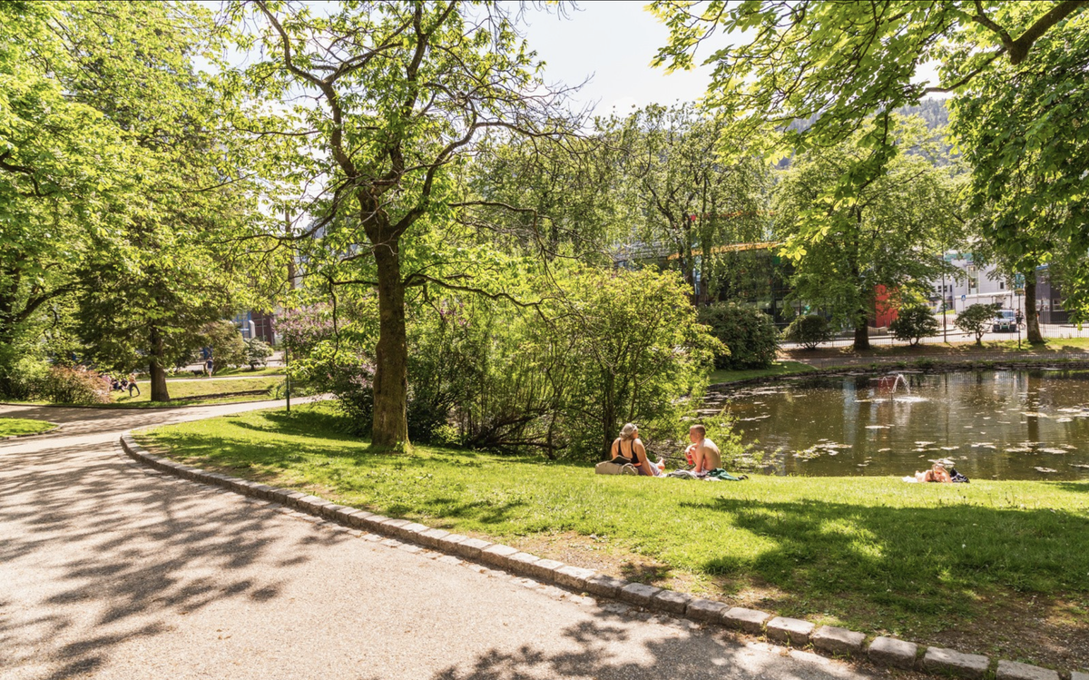 Rett over Småpudden ligger Nygårdparken - Kun få minutters gange fra leiligheten! Galleribilde