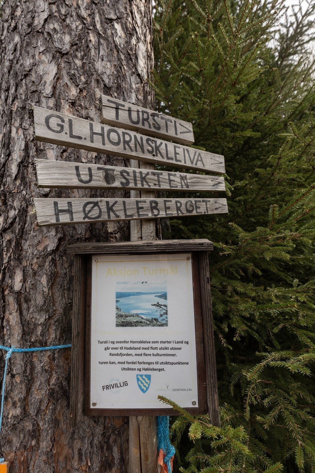 Variert turterreng med vakre utsikter og merkede stier - perfekt for friluftsliv året rundt. Galleribilde