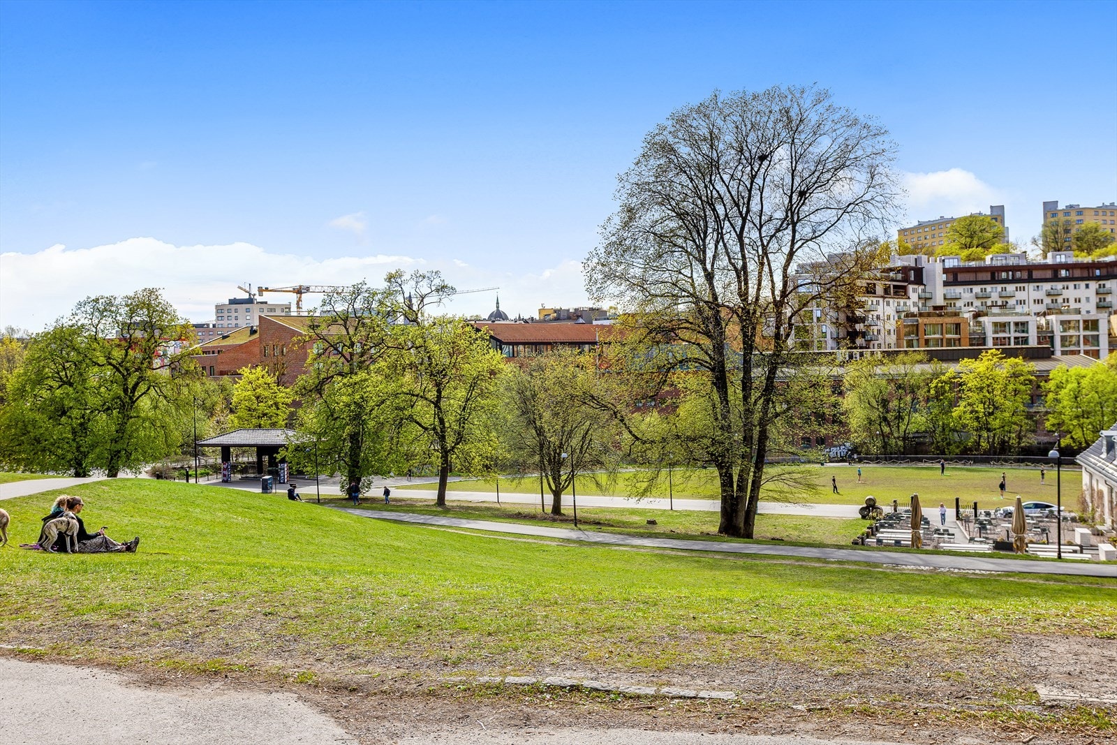 Velkommen til visning! Galleribilde