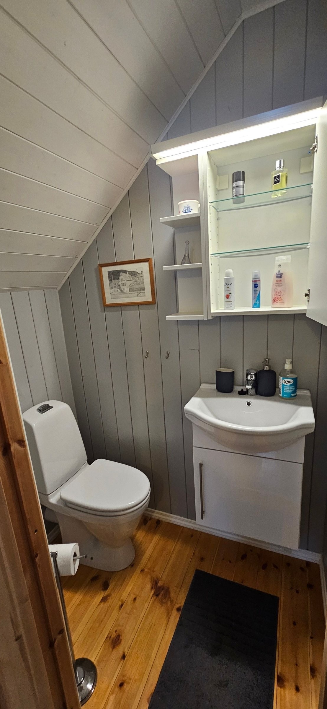 WC loft Galleribilde