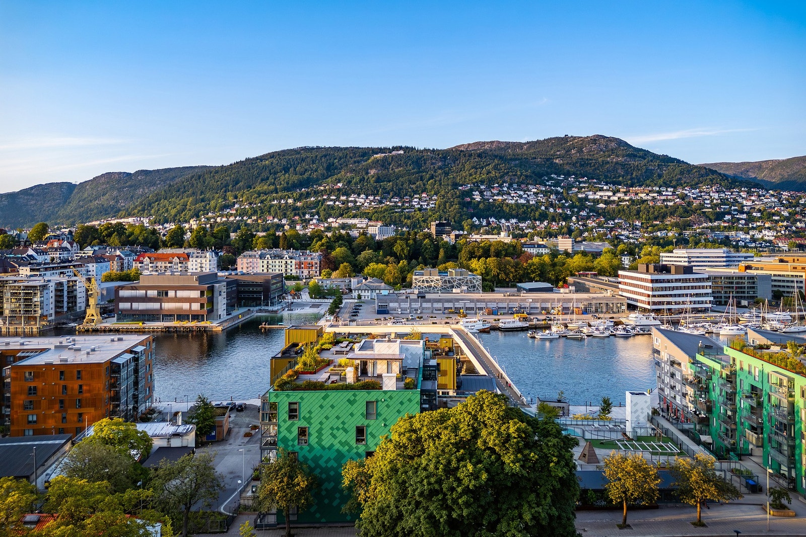 - Stor solrik takterrasse som fritt kan brukes av beboerne - Galleribilde