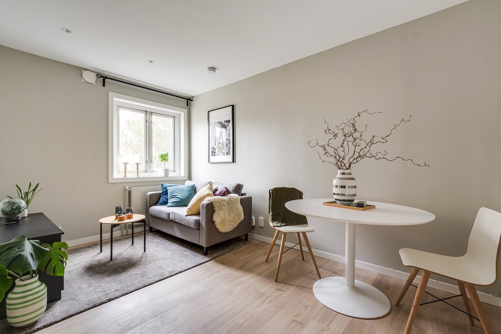 Velkommen til Disenveien 31! Galleribilde
