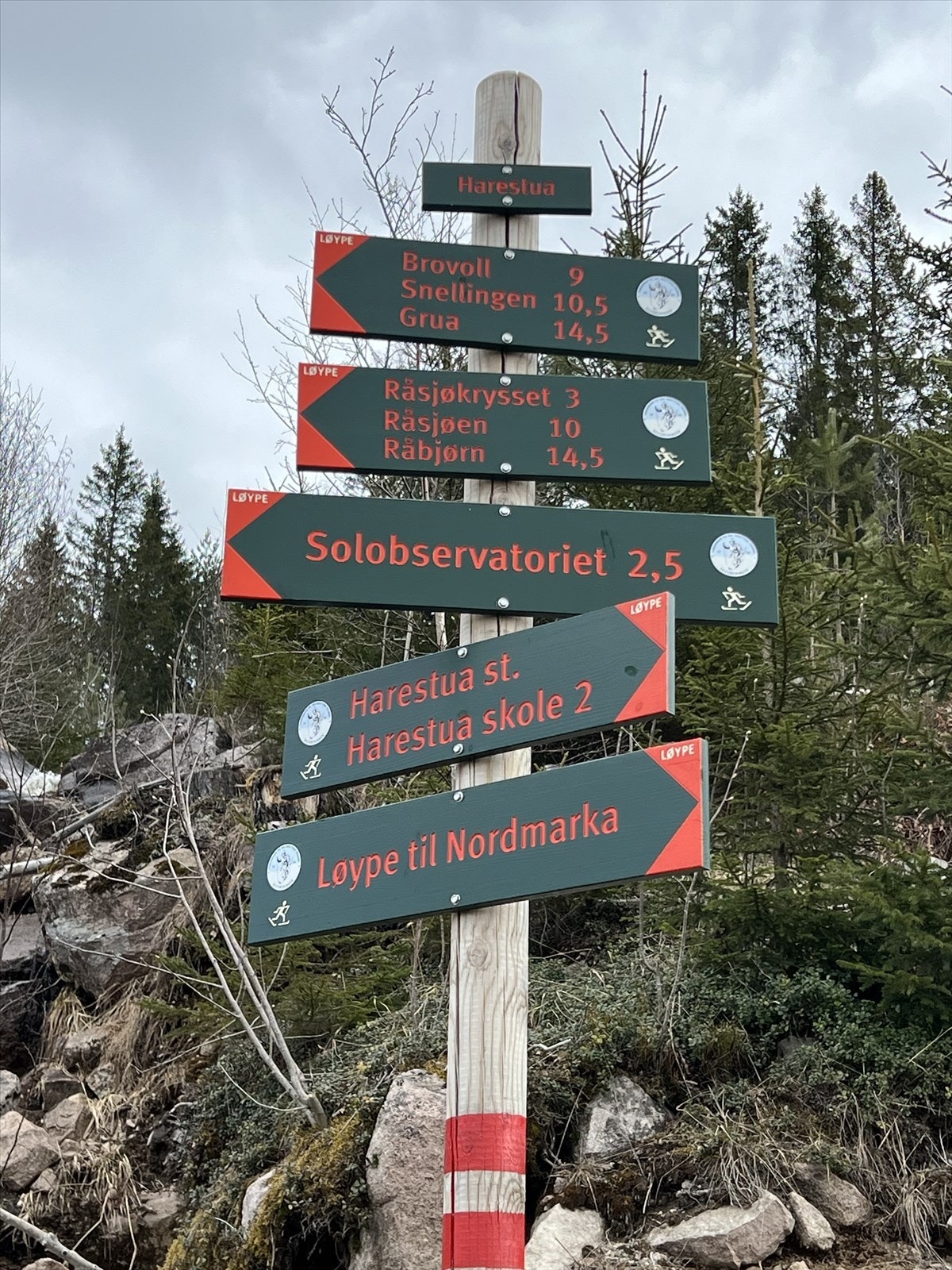 Harestua byr på milevis med merkede turstier. Populære turmål som Paradiskollen og Solobservatoriet er lett tilgjengelige. Galleribilde