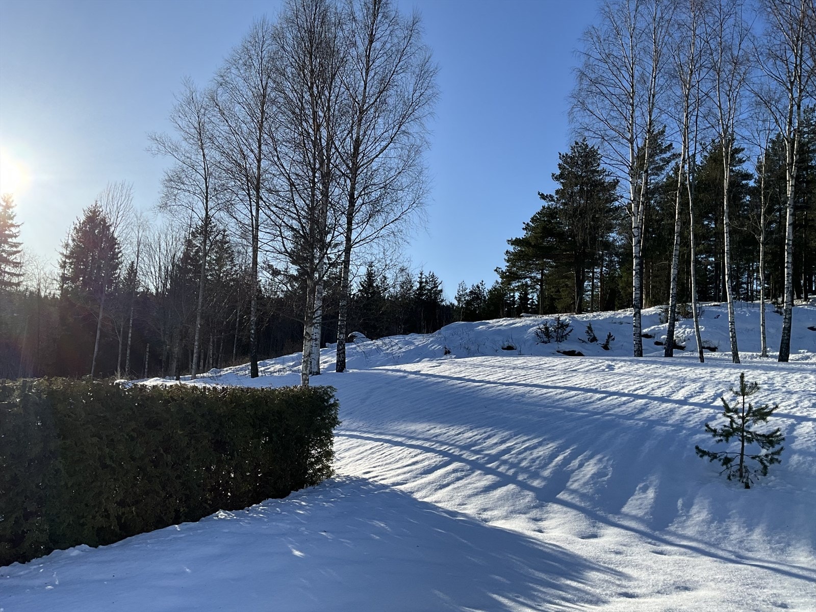 Herlig vinterlandskap! Her er det bare å spenne på seg skiene for gå på snø helt frem til lysløype. Lysløype ligger ca. 100-150 meter sørvest for eiendommen Galleribilde