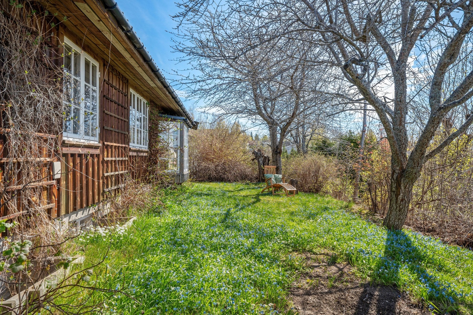Fine uteområder rundt boligen. Galleribilde