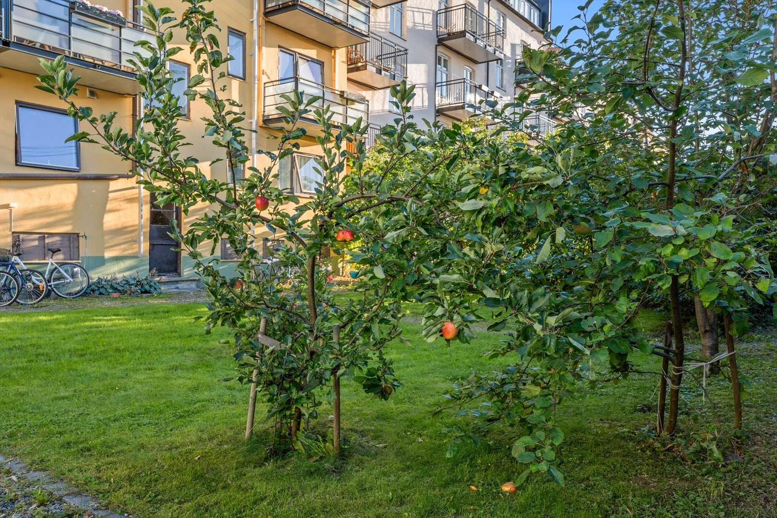 Her er det diverse planter, sykkelparkering og møbler. Galleribilde