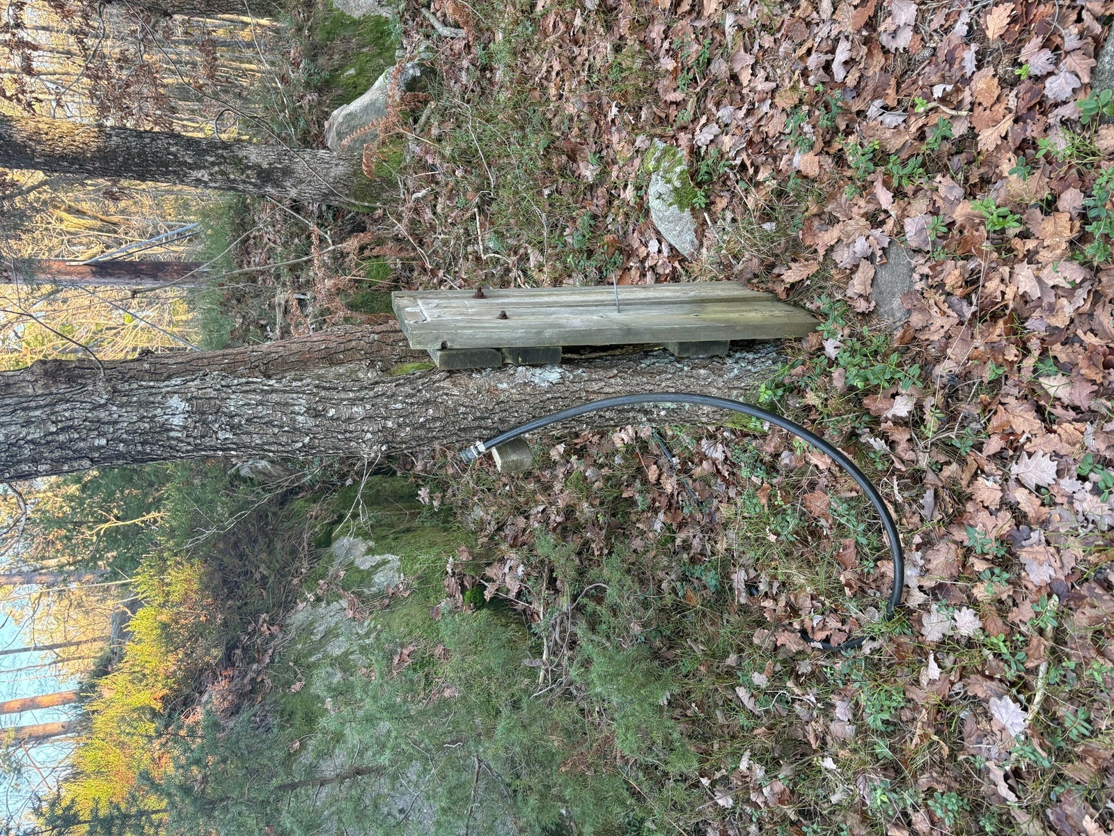 Vannposten Galleribilde