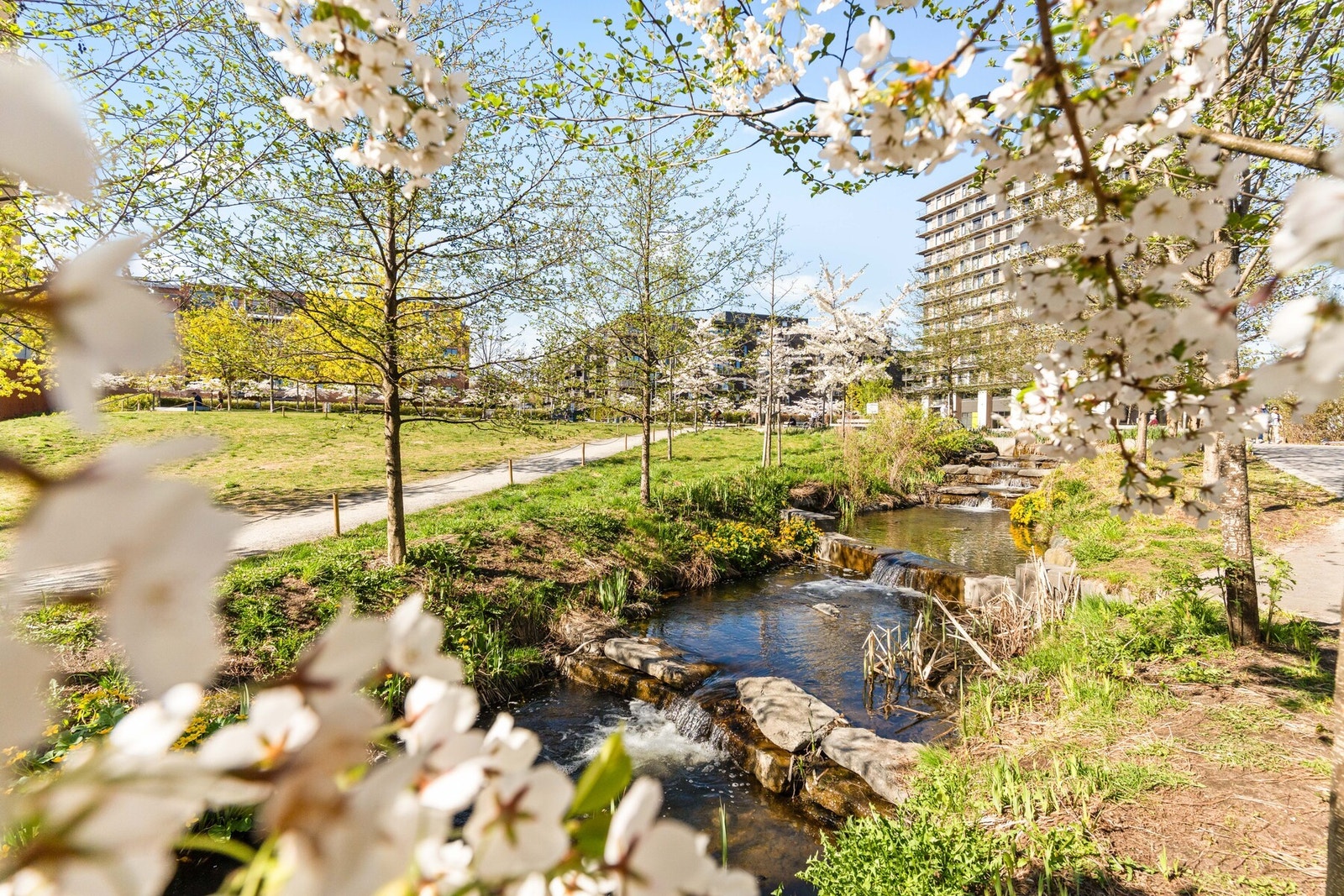 Velkommen til en moderne og praktisk leilighet Galleribilde