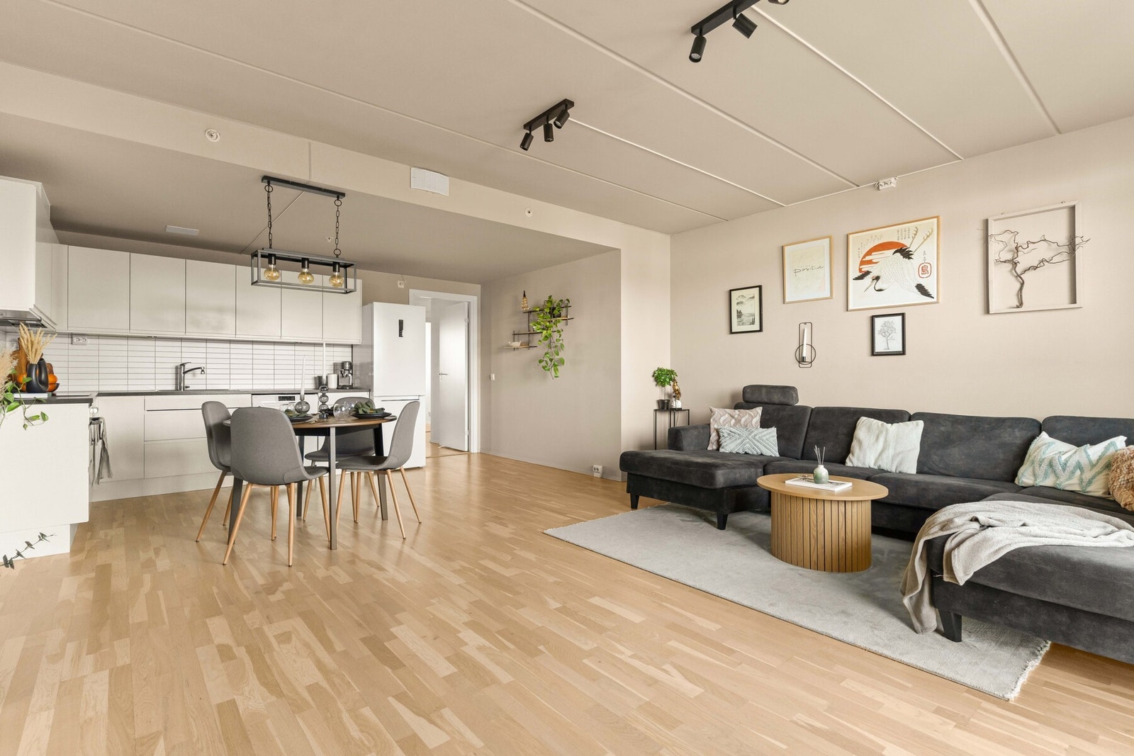 Stue med behagelig lysinnslipp og moderne overflater Galleribilde