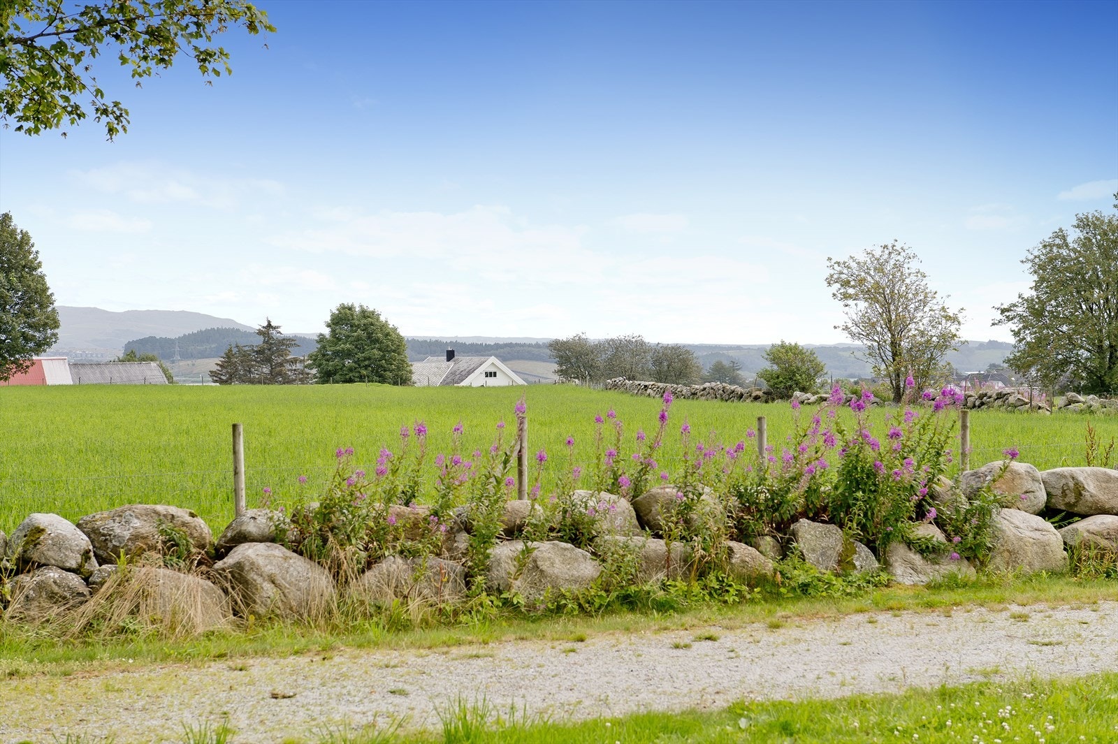 Nærområdet. Galleribilde