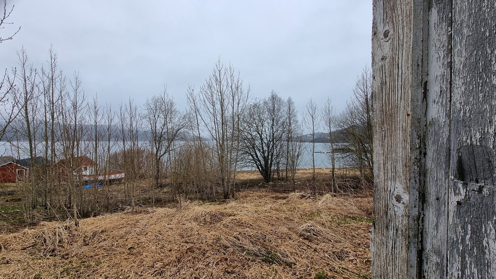 Mot utsikt. Galleribilde