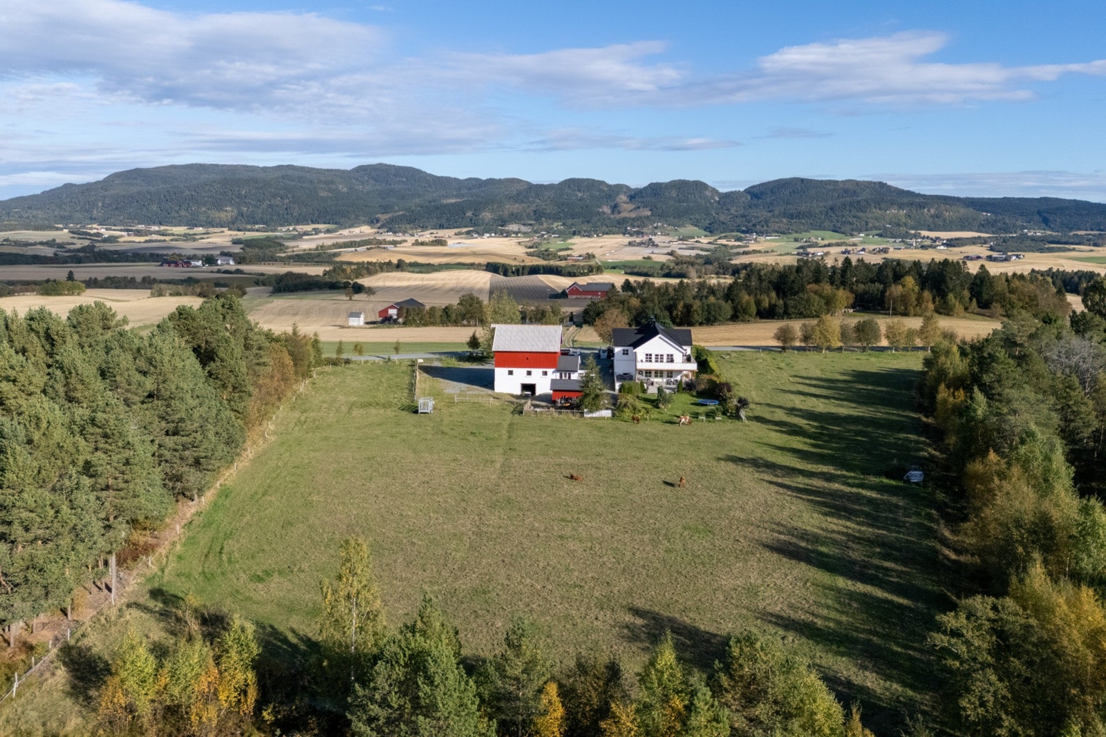 Velkommen til visning. Galleribilde