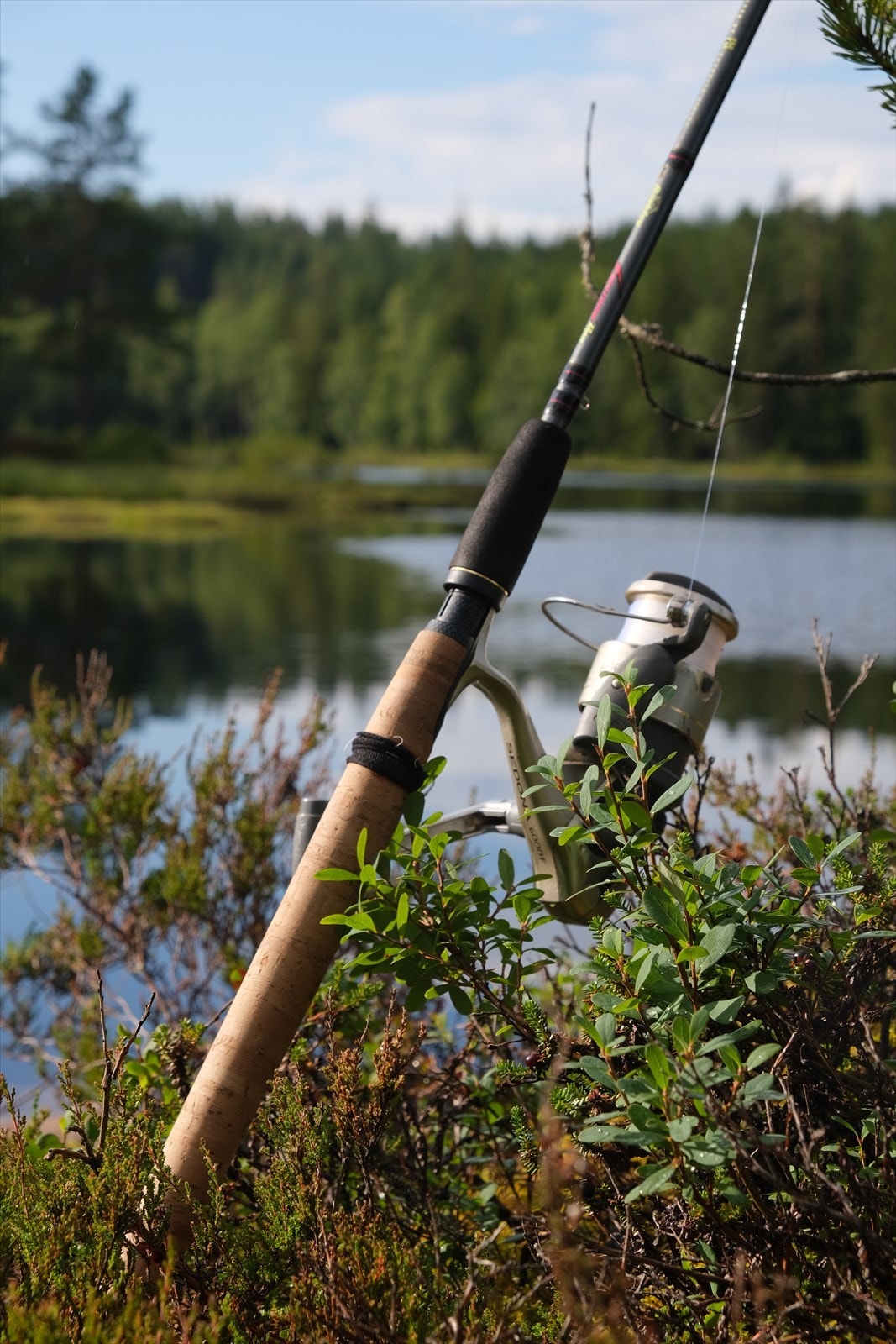 Med nærhet til skog og vann er det gode muligheter for fiske og friluftsliv. Selgers eget bilde. Galleribilde