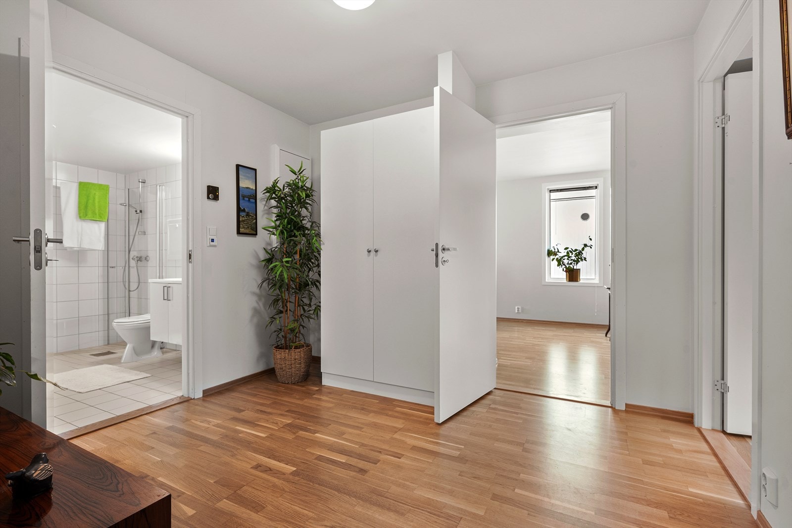 Gangen er romslig med plass til garderobe for oppbevaring av yttertøy og sko. Galleribilde