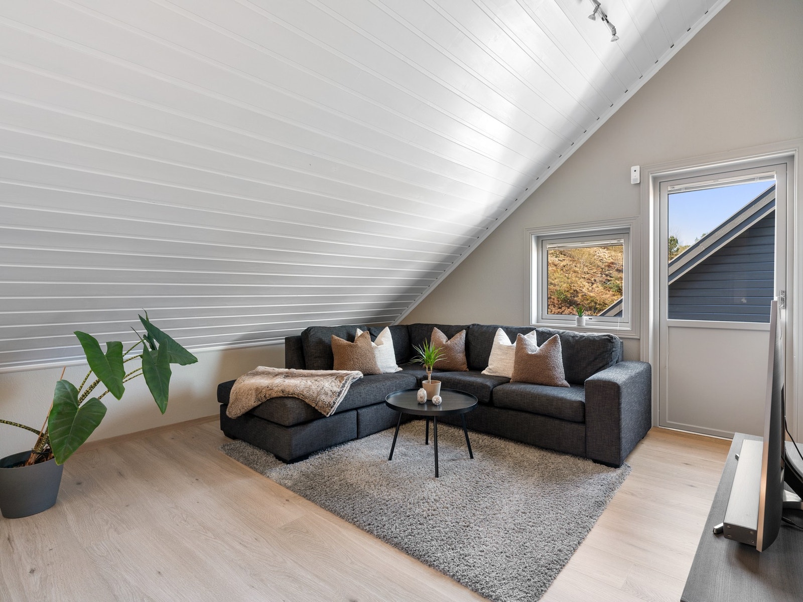 Loftsute Galleribilde