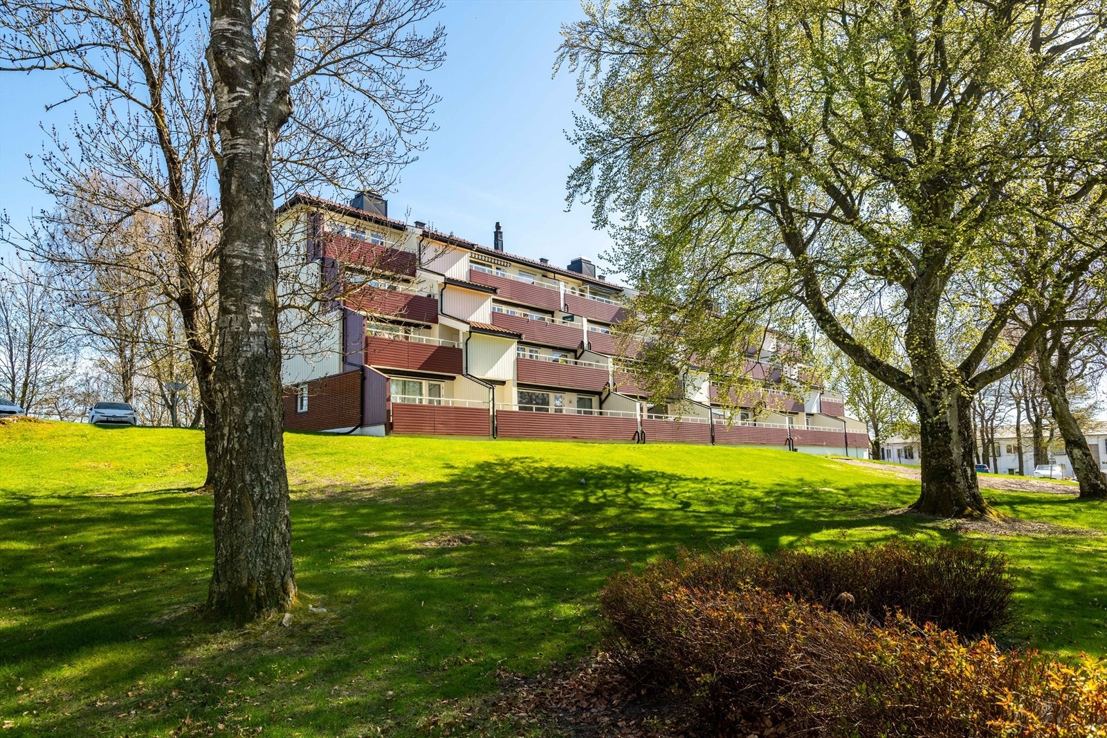 Velstelte og pene uteområder Galleribilde