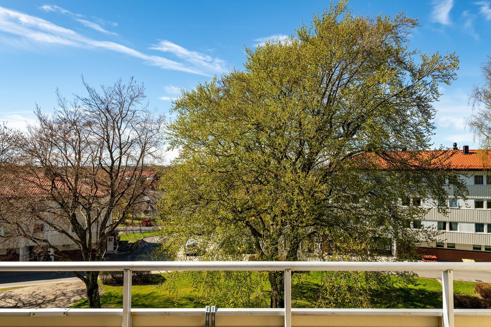 Utsikt fra veranda Galleribilde