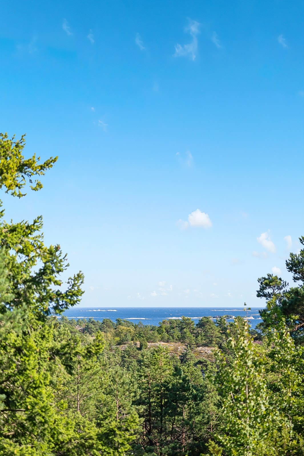 Det er kort vei til fantastiske bademuligheter, og Trosbyfjorden hvor bryggeanlegget kan nås på kun få minutters gange. Galleribilde