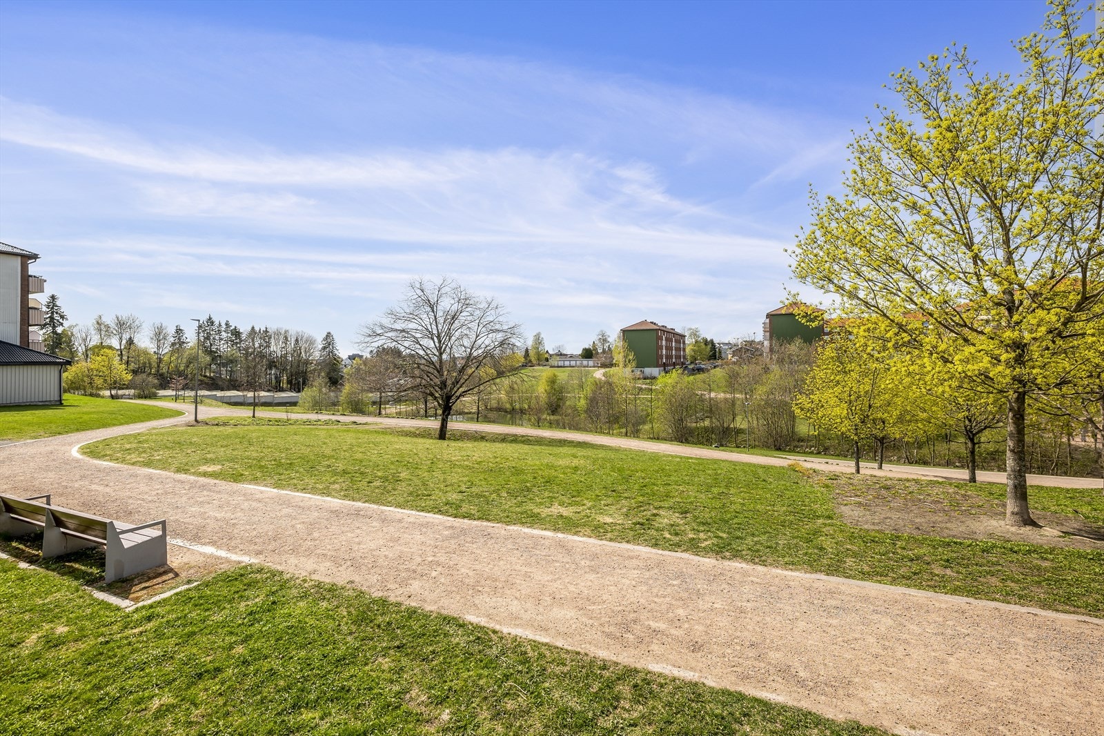 Bjerkedalen park er en perle av naturlig skjønnhet og ro midt i hjertet av byen. Galleribilde
