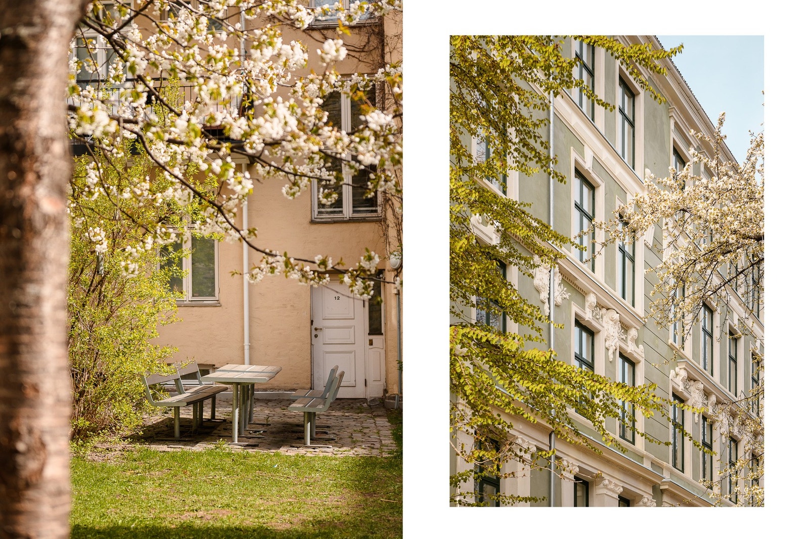 Flott bakgård Galleribilde