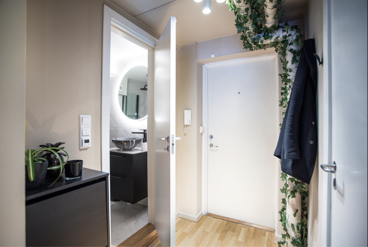 Bilder fra 2024. Pictures from 2024 Galleribilde