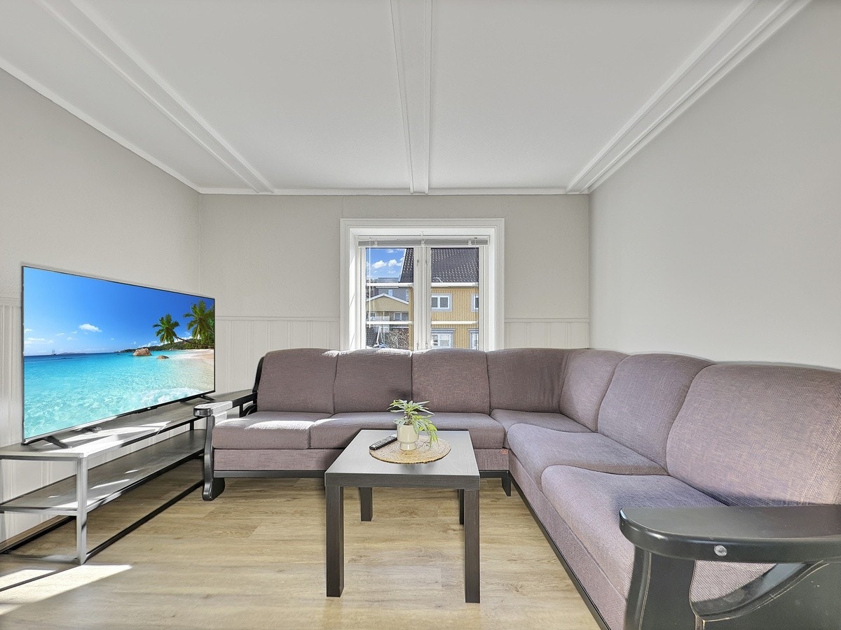 Sofakrok med TV Galleribilde
